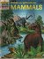 The How and Why Wonder Book...