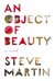 An Object Of Beauty (Hardcover)