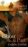 Ghost from the Past (Cattle Valley, #22)