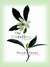 The Untelling (MP3 Book)