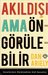 Akıldışı Ama Öngörülebilir