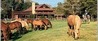 Falls Chance Ranch
