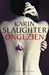 Ongezien (Paperback)