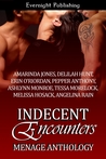 Indecent Encounters Indecent Encounters