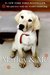 Marley & Me: Life and Love with the World's Worst Dog (Hardcover)