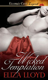 Wicked Temptation (Wicked Affairs, #2)