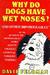 Why Do Dogs Have Wet Noses?