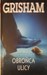 Obrońca ulicy by John Grisham