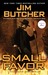 Small Favor (The Dresden Files, #10)