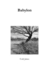 Babylon by Cody James Babylon by Cody James