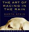The Art of Racing in the Rain