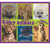Baby Animals of the World