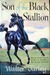 Son of the Black Stallion (The Black Stallion, #3)