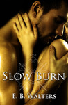 Slow Burn (The Fitzgerald Family, #1) Slow Burn (The Fitzgerald Family, #1)