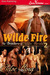 Wilde Fire (The Brothers of Wilde, Nevada #2)