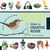 1000 Ideas for Creative Reuse (ebook)