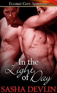 In The Light Of Day