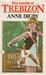 Boy Trouble at Trebizon  (Trebizon, #4)