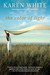 The Color of Light (Paperback)