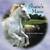 Shane's Mane by Nicole Drumheller Gargus
