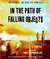 In the Path of Falling Objects (Audio)
