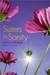 Sisters in Sanity (ebook)