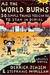 As the World Burns: 50 Simple Things You Can Do to Stay in Denial-A Graphic Novel (ebook)
