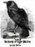 The Works of Edgar Allen Poe Volume One by Edgar Allan Poe