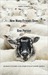 How Many Friends Does One Person Need?: Dunbar's Number and Other Evolutionary Quirks (ebook)