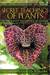 The Secret Teachings of Plants: The Intelligence of the Heart in the Direct Perception of Nature (ebook)