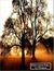 Before Leonora Wakes (ebook)