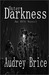 Outer Darkness by Audrey Brice