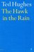 The Hawk in the Rain