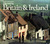 Discovering Britain & Ireland