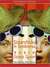 Sisterchicks in Sombreros: Sisterchicks Series, Book 3 (MP3 Book)