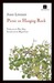 Picnic en Hanging Rock (Paperback)