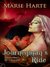 Journeyman's Ride (ebook)