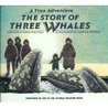 The Story of Three Whales (A True Adventure)