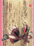 The Bride's Stories Vol. 1 (Paperback)