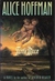 Turtle Moon (Hardcover)