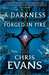 A Darkness Forged in Fire (Iron Elves, #1)