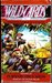 Turn of the Cards (Wild Cards, #12)