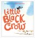 Little Black Crow (ebook)