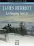 Let Sleeping Vets Lie (MP3 Book)