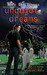 Unquiet Dreams (Connor Grey, #2)
