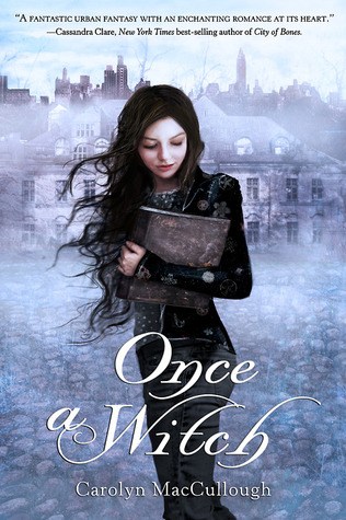 Once a Witch (Witch, #1)