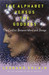 The Alphabet Versus the Goddess (Hardcover)