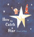 How to Catch a Star (Hardcover)