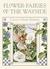 Flower Fairies of the Wayside