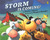 Storm is Coming! (Paperback)